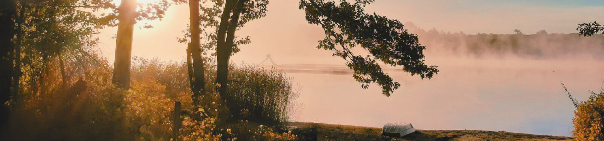  Image of a misty early morning on Larkin Pond 